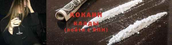 стаф Кодинск