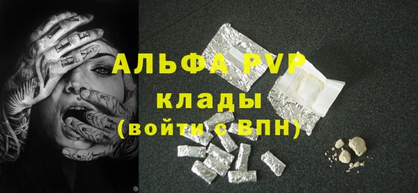 стаф Кодинск