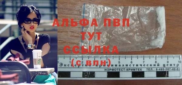 стаф Кодинск
