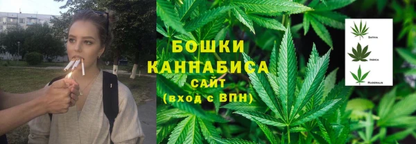 стаф Кодинск