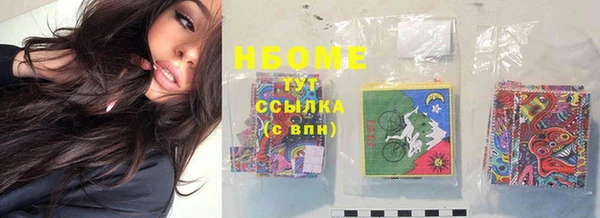 стаф Кодинск